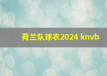 荷兰队球衣2024 knvb